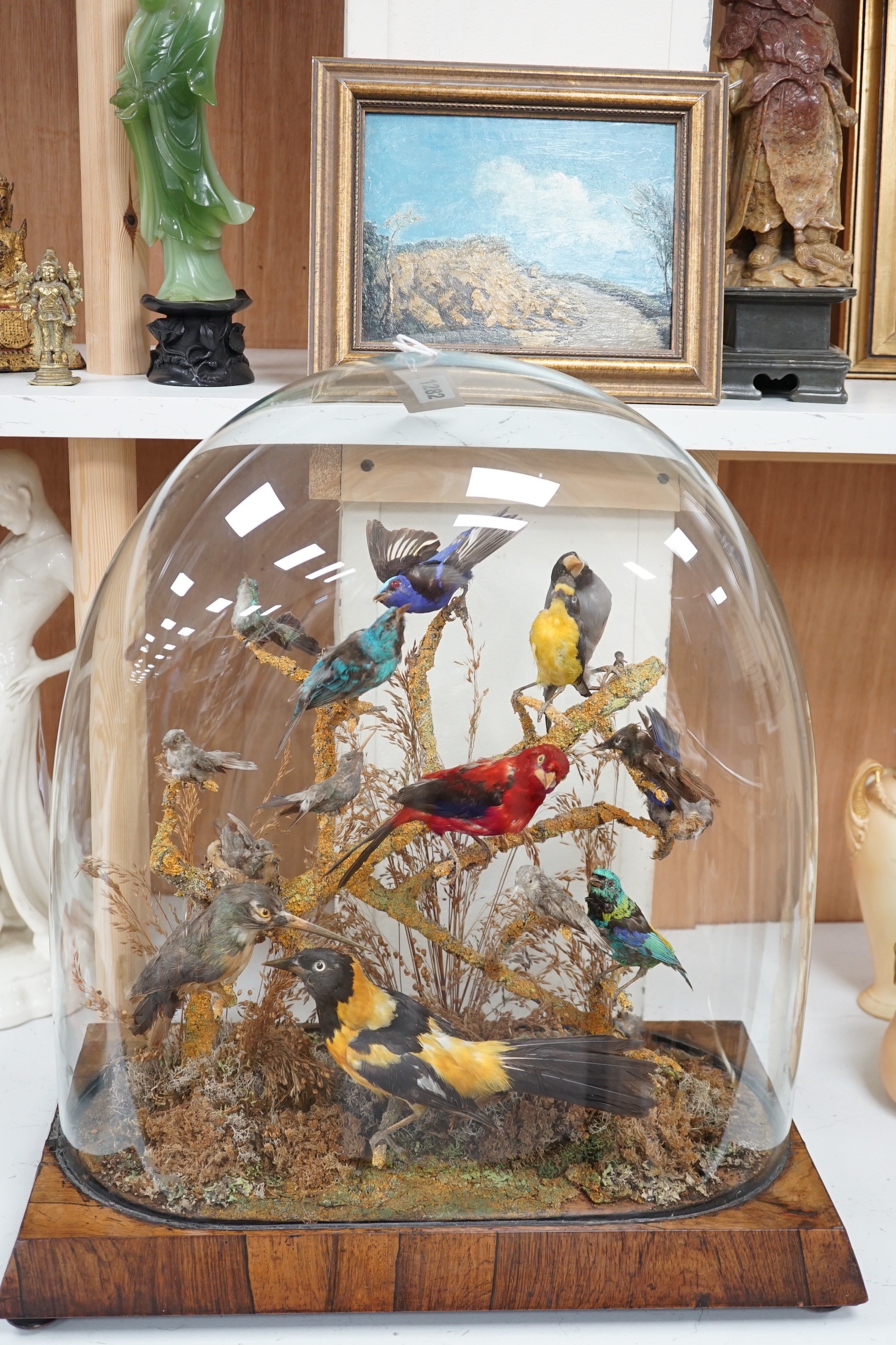 A Victorian taxidermic exotic aviary group of mainly South American birds, to include a Venezuelan troupial, seven-coloured tanager, white-bellied hummingbird etc., under glazed dome. 51.5cm high overall